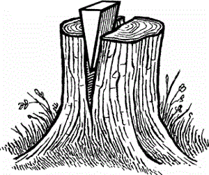 wedge splitting a tree stump